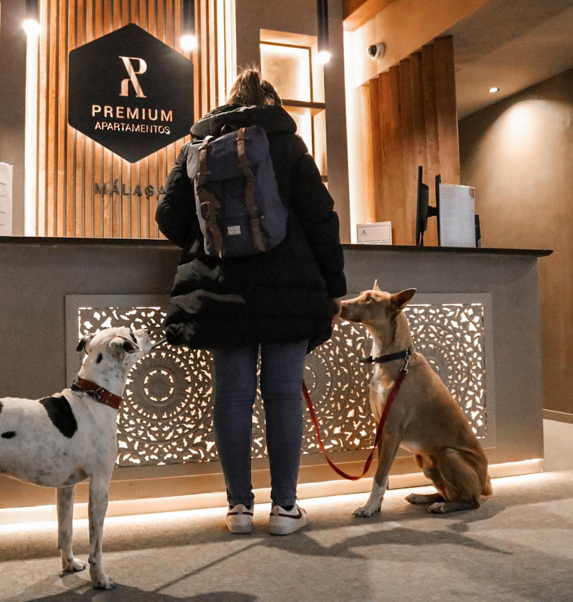 Premium - Calle San Telmo Lägenhet *